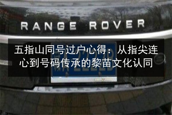 五指山同号过户心得:从指尖连心到号码传承的黎苗文化认同 第3张 五指山同号过户心得:从指尖连心到号码传承的黎苗文化认同 第3张