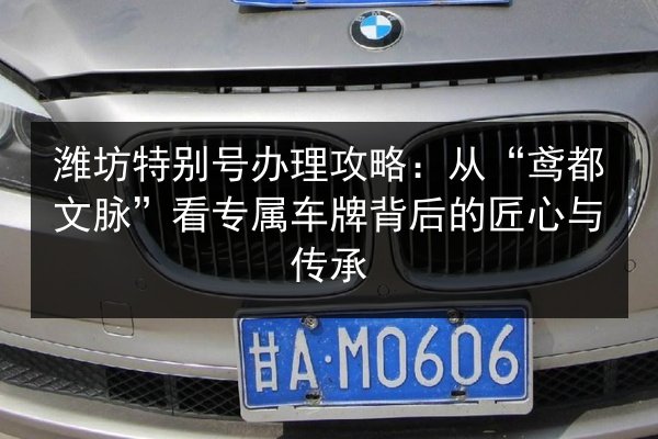 潍坊特别号办理攻略:从“鸢都文脉”看专属车牌背后的匠心与传承 第3张 潍坊特别号办理攻略:从“鸢都文脉”看专属车牌背后的匠心与传承 第3张