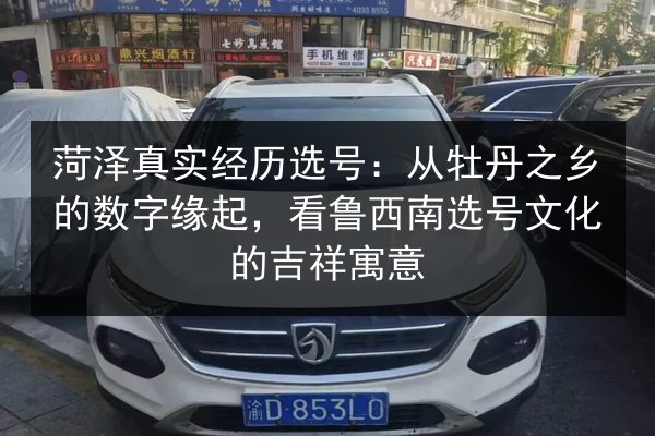 菏泽真实经历选号：从牡丹之乡的数字缘起，看鲁西南选号文化的吉祥寓意 第2张