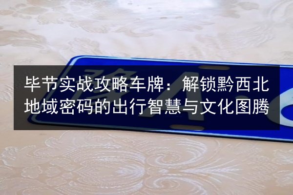 毕节实战攻略车牌：解锁黔西北地域密码的出行智慧与文化图腾