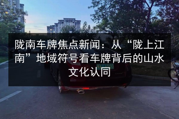 陇南车牌焦点新闻：从“陇上江南”地域符号看车牌背后的山水文化认同 第3张