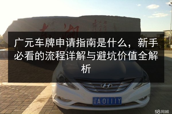 广元车牌申请指南是什么，新手必看的流程详解与避坑价值全解析