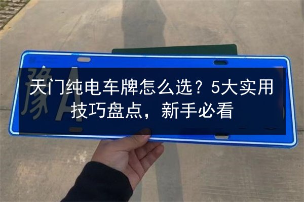 天门纯电车牌怎么选？5大实用技巧盘点，新手必看