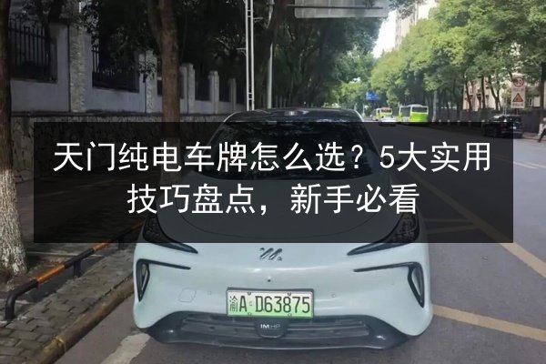 天门纯电车牌怎么选？5大实用技巧盘点，新手必看 第2张