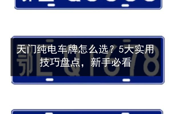 天门纯电车牌怎么选？5大实用技巧盘点，新手必看 第3张