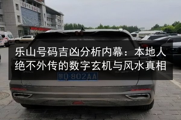 乐山号码吉凶分析内幕：本地人绝不外传的数字玄机与风水真相 第3张