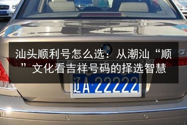 汕头顺利号怎么选:从潮汕“顺”文化看吉祥号码的择选智慧 第3张 汕头顺利号怎么选:从潮汕“顺”文化看吉祥号码的择选智慧 第3张