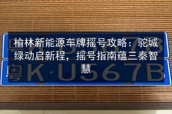 榆林新能源车牌摇号攻略：驼城绿动启新程，摇号指南蕴三秦智慧