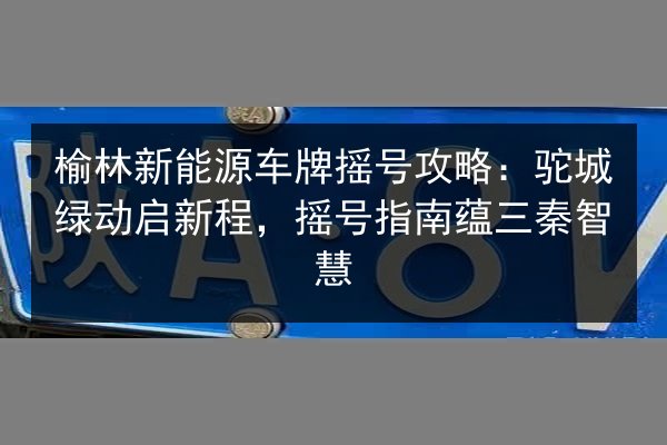 榆林新能源车牌摇号攻略:驼城绿动启新程,摇号指南蕴三秦智慧 第3张 榆林新能源车牌摇号攻略:驼城绿动启新程,摇号指南蕴三秦智慧 第3张