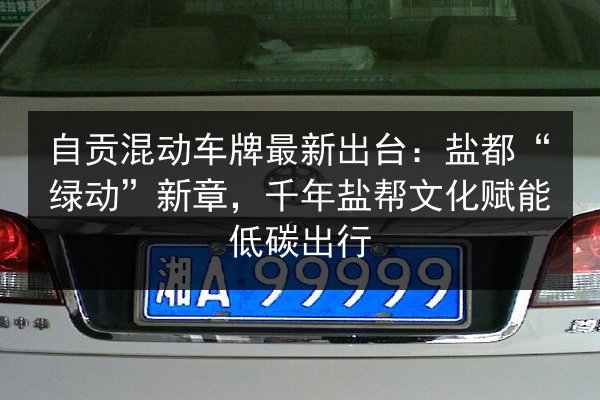 自贡混动车牌最新出台：盐都“绿动”新章，千年盐帮文化赋能低碳出行 第2张