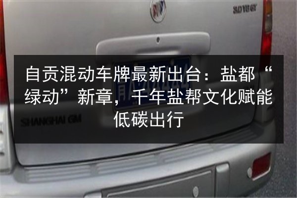 自贡混动车牌最新出台：盐都“绿动”新章，千年盐帮文化赋能低碳出行 第3张