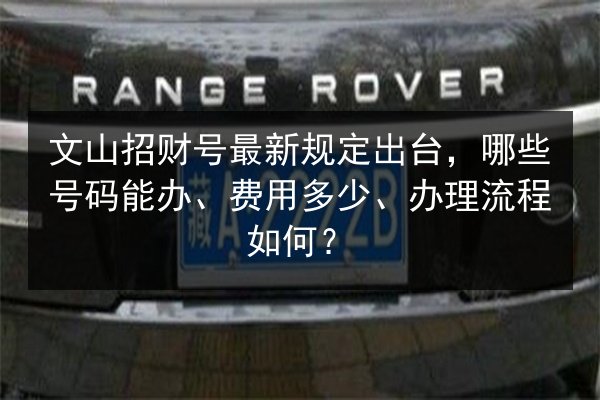 文山招财号最新规定出台，哪些号码能办、费用多少、办理流程如何？