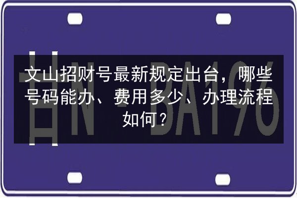 文山招财号最新规定出台，哪些号码能办、费用多少、办理流程如何？ 第2张