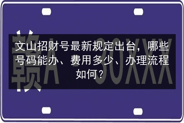 文山招财号最新规定出台，哪些号码能办、费用多少、办理流程如何？ 第3张