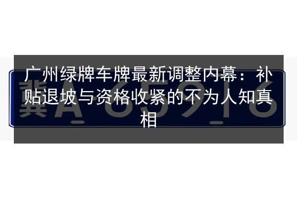 广州绿牌车牌最新调整内幕：补贴退坡与资格收紧的不为人知真相 第2张