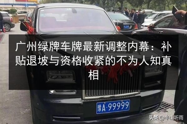 广州绿牌车牌最新调整内幕：补贴退坡与资格收紧的不为人知真相 第3张