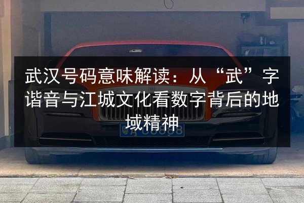武汉号码意味解读：从“武”字谐音与江城文化看数字背后的地域精神