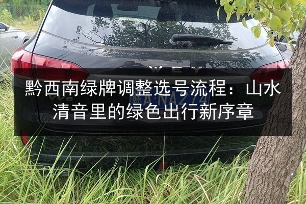 黔西南绿牌调整选号流程：山水清音里的绿色出行新序章 第2张