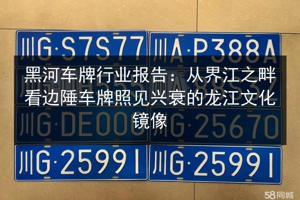 黑河车牌行业报告：从界江之畔看边陲车牌照见兴衰的龙江文化镜像 第3张