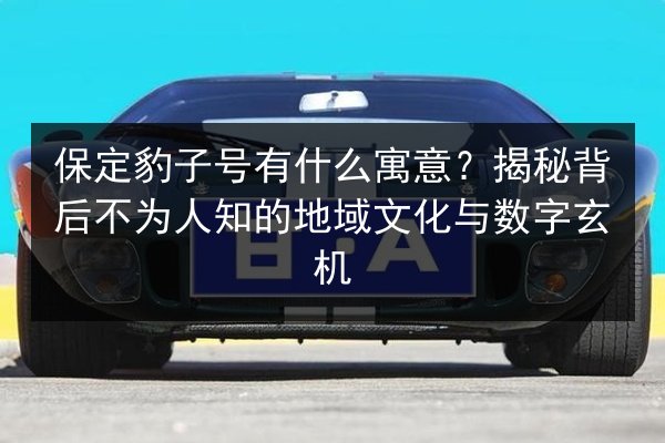 保定豹子号有什么寓意？揭秘背后不为人知的地域文化与数字玄机