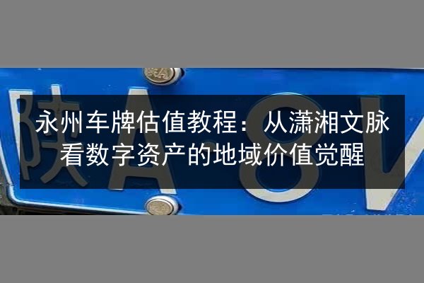 永州车牌估值教程：从潇湘文脉看数字资产的地域价值觉醒