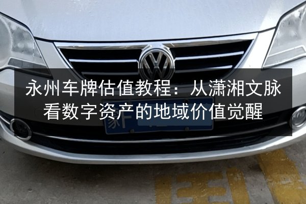 永州车牌估值教程:从潇湘文脉看数字资产的地域价值觉醒 第2张 永州车牌估值教程:从潇湘文脉看数字资产的地域价值觉醒 第2张