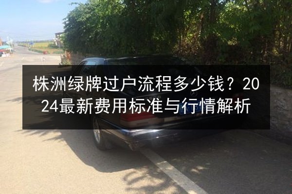 株洲绿牌过户流程多少钱？2024最新费用标准与行情解析 第2张