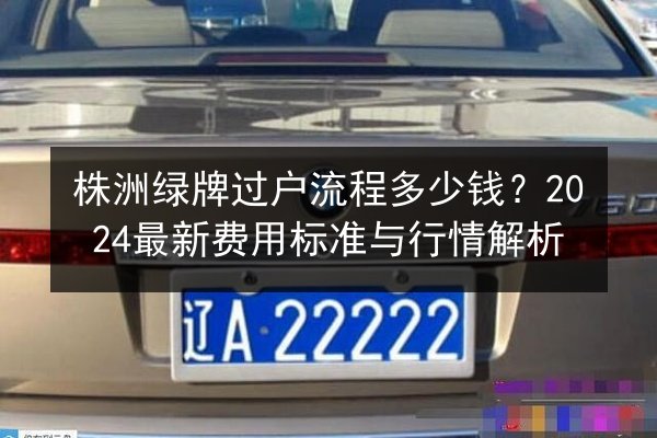 株洲绿牌过户流程多少钱？2024最新费用标准与行情解析 第3张