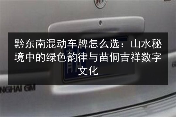 黔东南混动车牌怎么选：山水秘境中的绿色韵律与苗侗吉祥数字文化 第3张