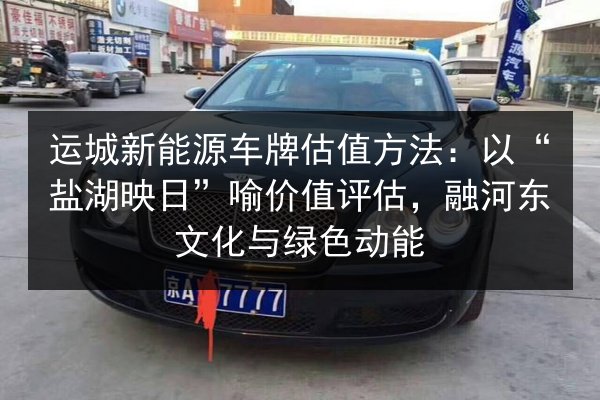运城新能源车牌估值方法：以“盐湖映日”喻价值评估，融河东文化与绿色动能 第2张