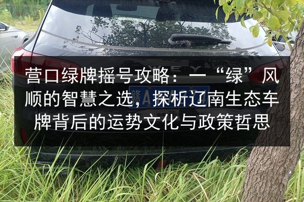 营口绿牌摇号攻略：一“绿”风顺的智慧之选，探析辽南生态车牌背后的运势文化与政策哲思