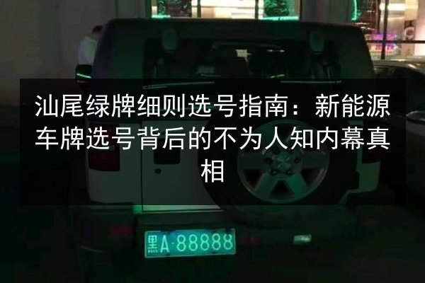 汕尾绿牌细则选号指南:新能源车牌选号背后的不为人知内幕真相 第2张 汕尾绿牌细则选号指南:新能源车牌选号背后的不为人知内幕真相 第2张