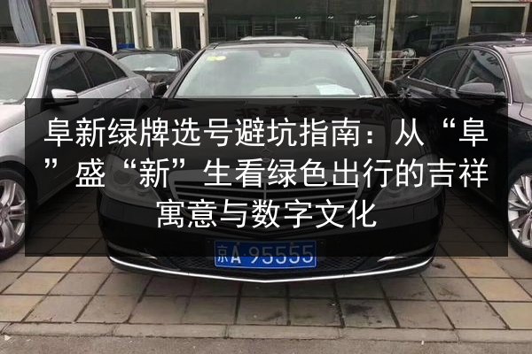 阜新绿牌选号避坑指南：从“阜”盛“新”生看绿色出行的吉祥寓意与数字文化