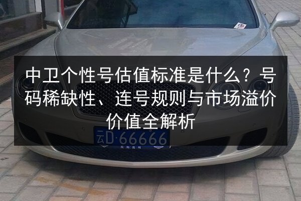 中卫个性号估值标准是什么?号码稀缺性、连号规则与市场溢价价值全解析 第2张 中卫个性号估值标准是什么?号码稀缺性、连号规则与市场溢价价值全解析 第2张