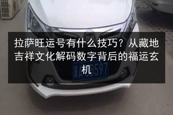 拉萨旺运号有什么技巧？从藏地吉祥文化解码数字背后的福运玄机