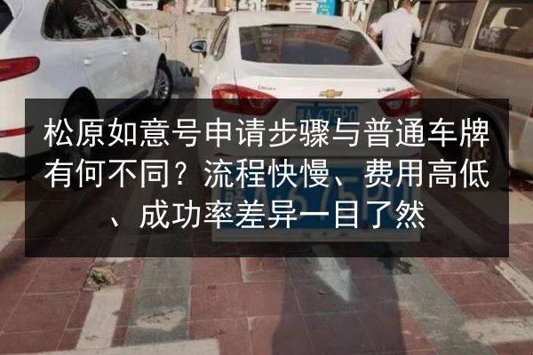 松原如意号申请步骤与普通车牌有何不同？流程快慢、费用高低、成功率差异一目了然