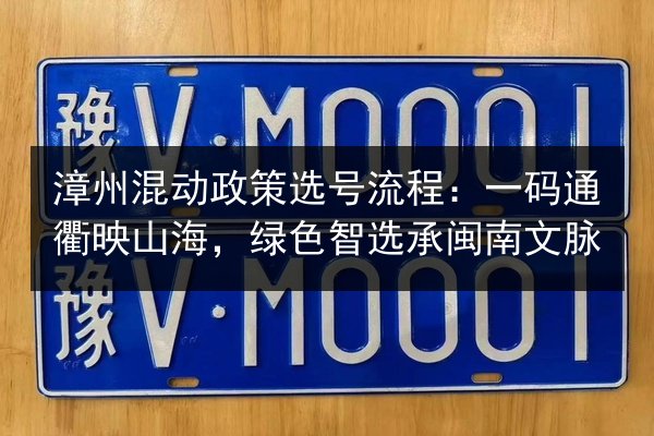 漳州混动政策选号流程：一码通衢映山海，绿色智选承闽南文脉