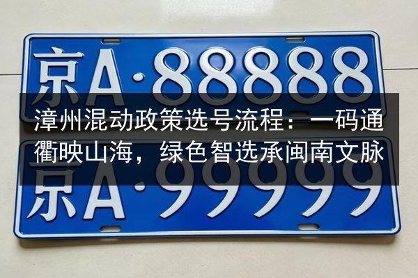 漳州混动政策选号流程:一码通衢映山海,绿色智选承闽南文脉 第2张 漳州混动政策选号流程:一码通衢映山海,绿色智选承闽南文脉 第2张