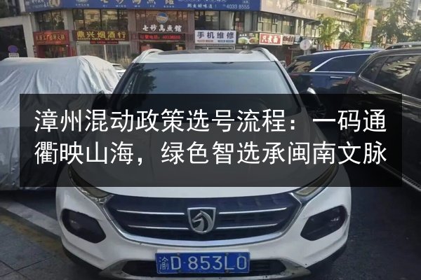 漳州混动政策选号流程:一码通衢映山海,绿色智选承闽南文脉 第3张 漳州混动政策选号流程:一码通衢映山海,绿色智选承闽南文脉 第3张