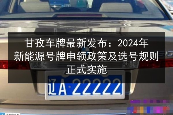 甘孜车牌最新发布：2024年新能源号牌申领政策及选号规则正式实施