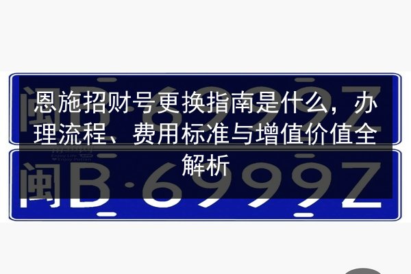 恩施招财号更换指南是什么，办理流程、费用标准与增值价值全解析