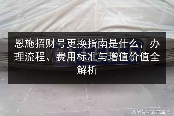 恩施招财号更换指南是什么，办理流程、费用标准与增值价值全解析 第2张
