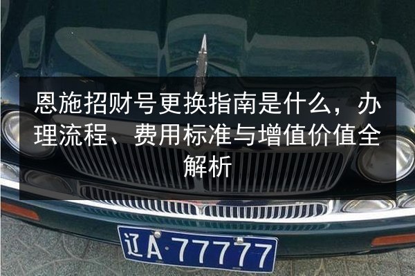 恩施招财号更换指南是什么，办理流程、费用标准与增值价值全解析 第3张
