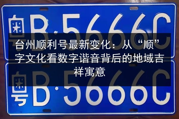 台州顺利号最新变化：从“顺”字文化看数字谐音背后的地域吉祥寓意