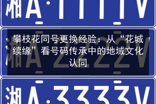 攀枝花同号更换经验:从“花城续缘”看号码传承中的地域文化认同 第1张 攀枝花同号更换经验:从“花城续缘”看号码传承中的地域文化认同 第1张