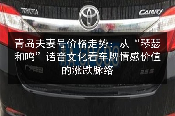 青岛夫妻号价格走势：从“琴瑟和鸣”谐音文化看车牌情感价值的涨跌脉络