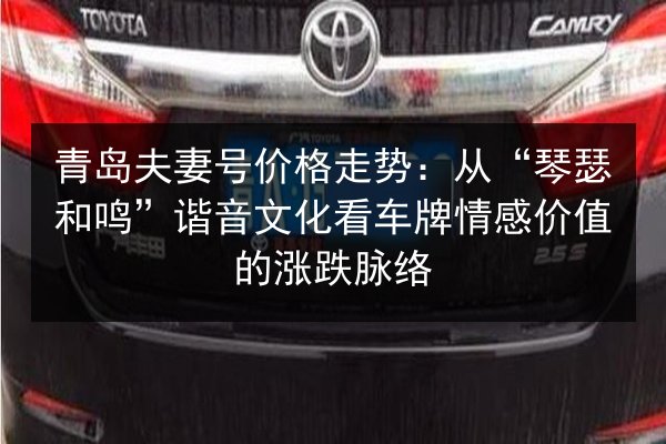 青岛夫妻号价格走势：从“琴瑟和鸣”谐音文化看车牌情感价值的涨跌脉络 第2张
