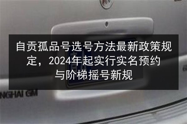 自贡孤品号选号方法最新政策规定，2024年起实行实名预约与阶梯摇号新规