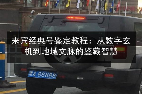 来宾经典号鉴定教程：从数字玄机到地域文脉的鉴藏智慧