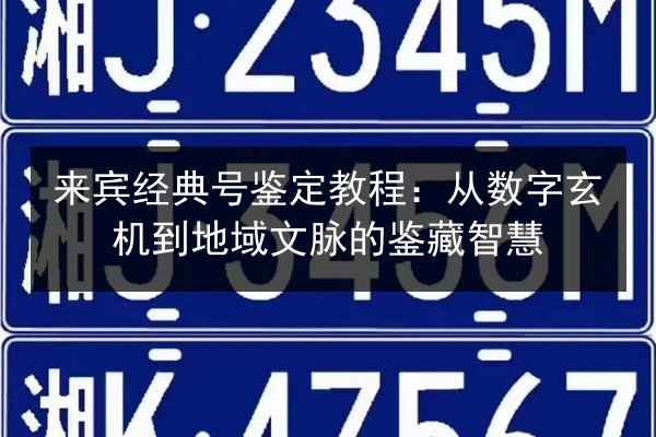 来宾经典号鉴定教程：从数字玄机到地域文脉的鉴藏智慧 第2张